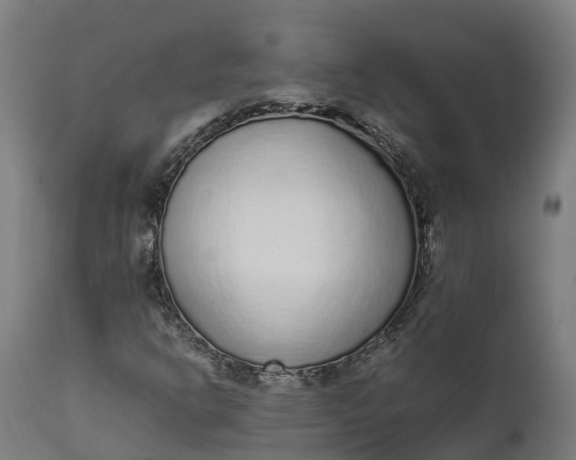 X0000111651302200907311307
