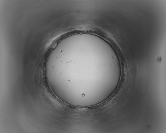 X0000111651304200907311307
