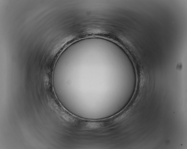 X0000111651305200907311307