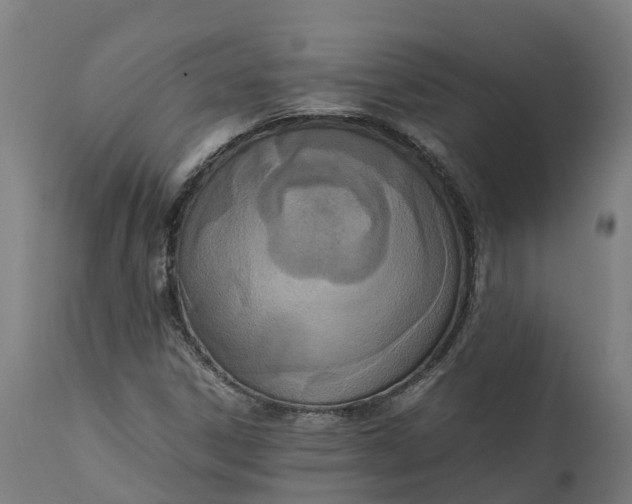 X0000111651306200907311307
