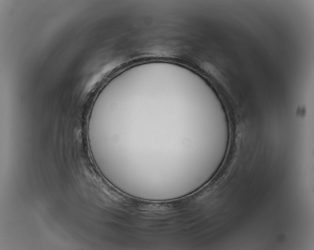 X0000111651307200907311307