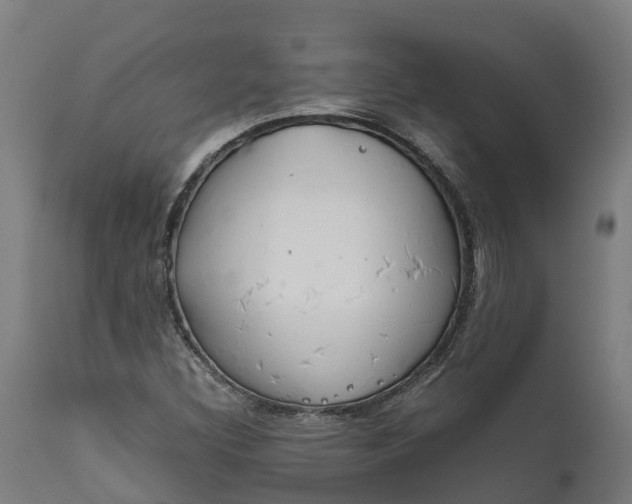 X0000111651308200907311307