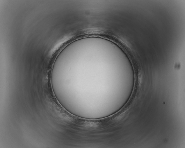 X0000111651309200907311307