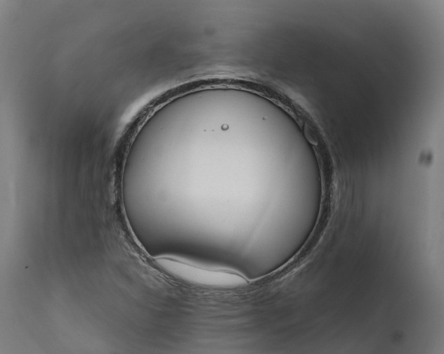 X0000111651310200907311307