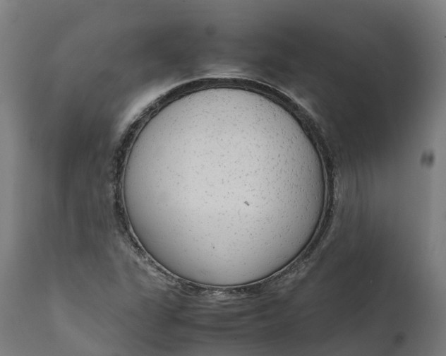 X0000111651311200907311307