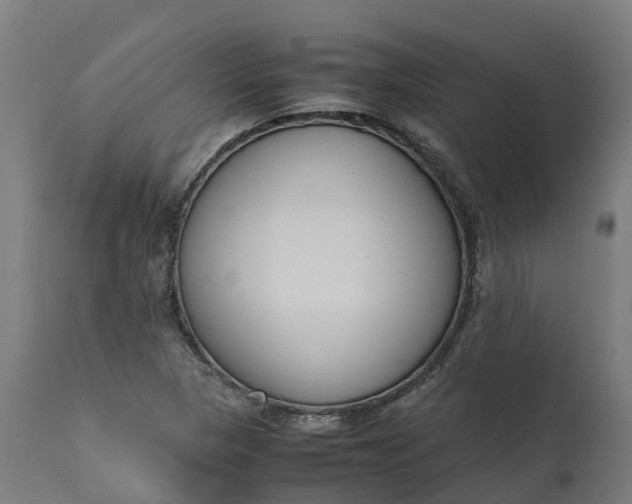 X0000111651313200907311307