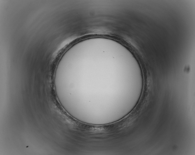 X0000111651315200907311307