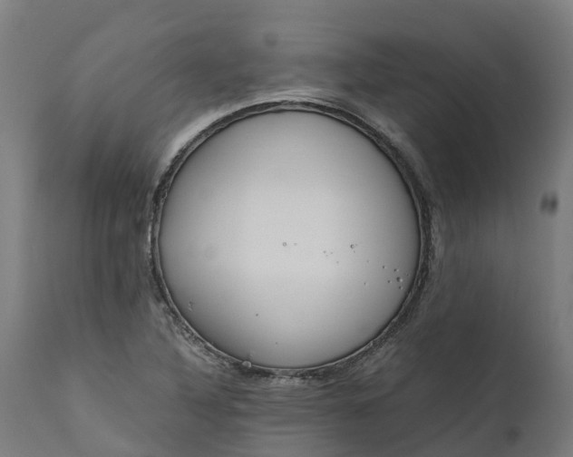 X0000111651316200907311307