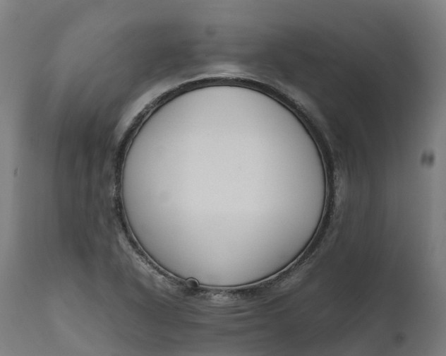 X0000111651318200907311307