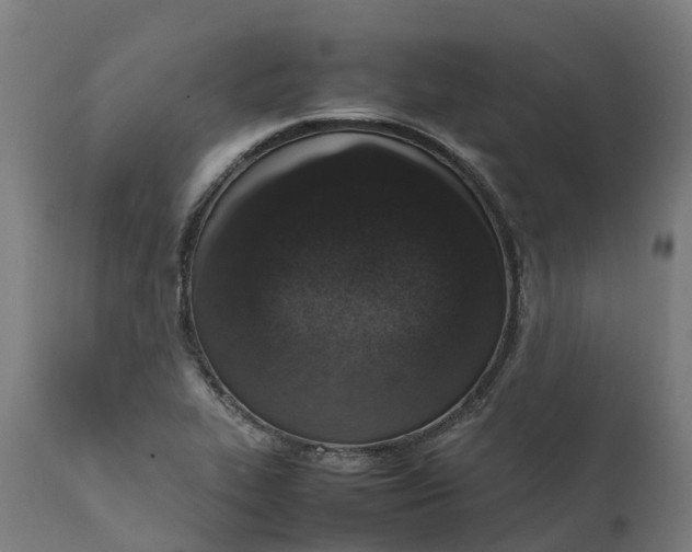 X0000111651319200907311307