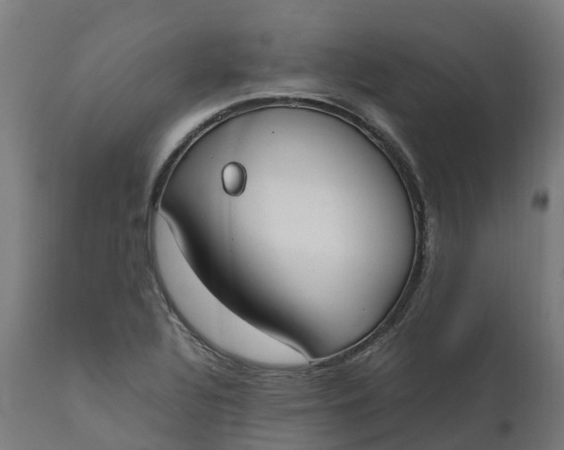 X0000111651320200907311307