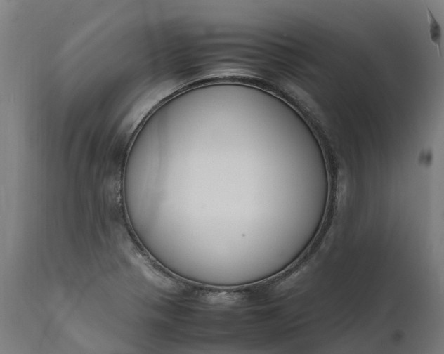 X0000111651321200907311307