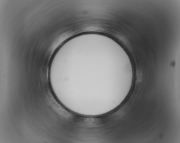X0000111651322200907311307