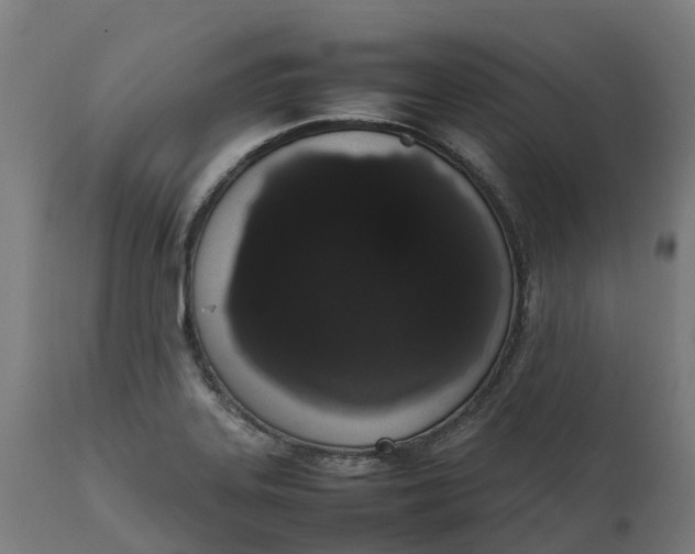 X0000111651323200907311307