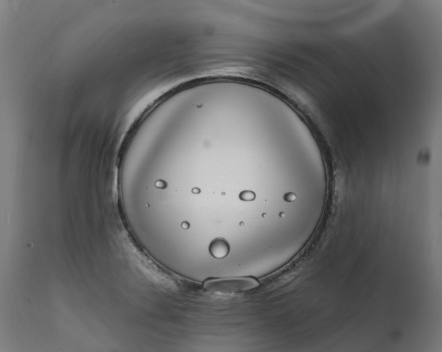 X0000111651324200907311307