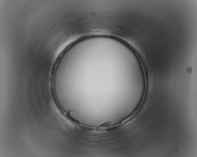X0000111651325200907311307