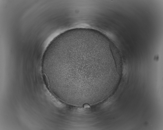 X0000111651326200907311307