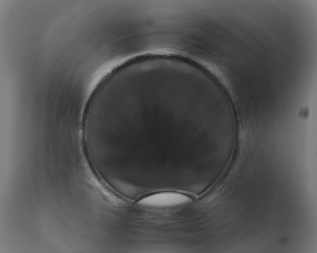 X0000111651327200907311307
