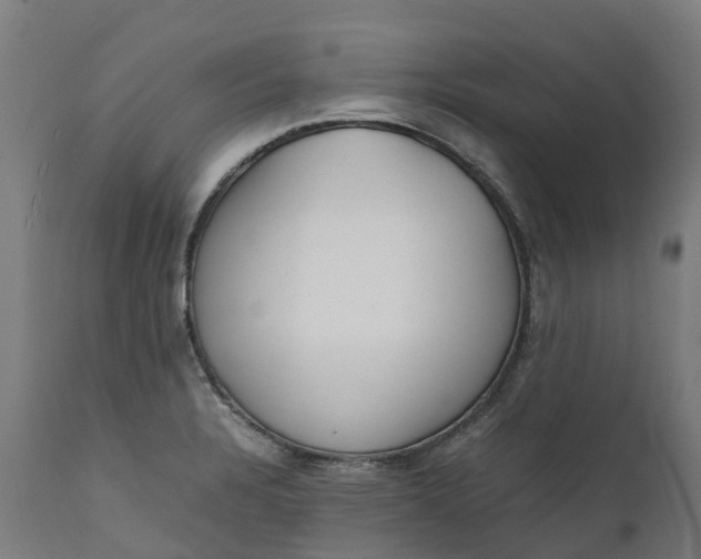 X0000111651328200907311307