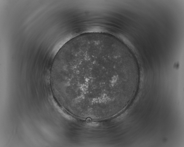 X0000111651329200907311307