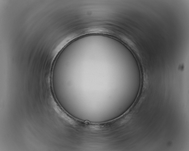 X0000111651330200907311307