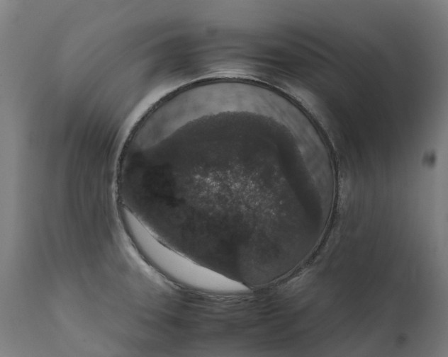 X0000111651331200907311307