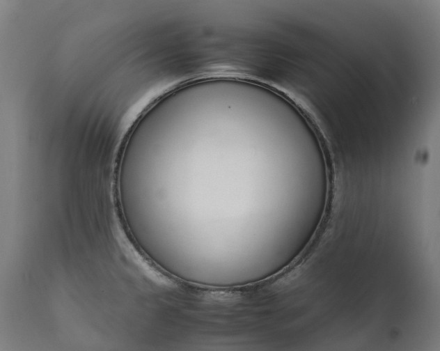 X0000111651333200907311307