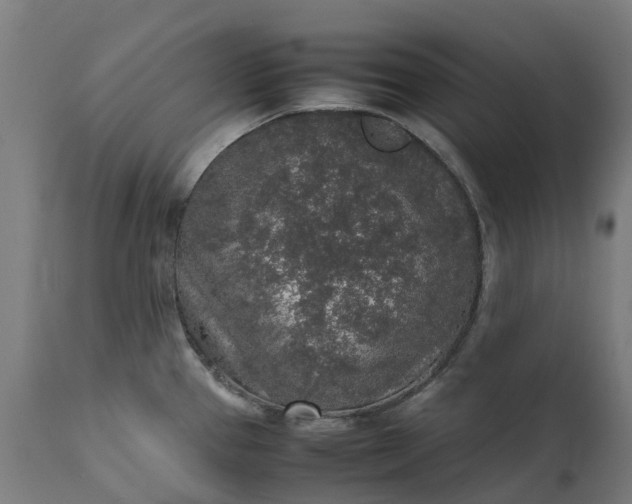 X0000111651337200907311307