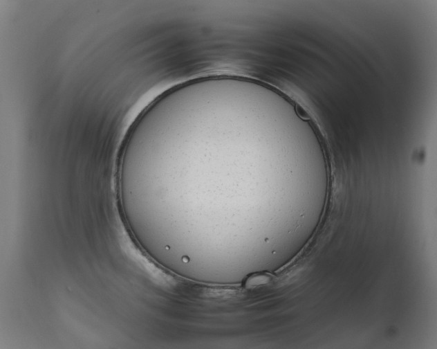 X0000111651339200907311307