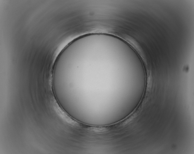 X0000111651340200907311308