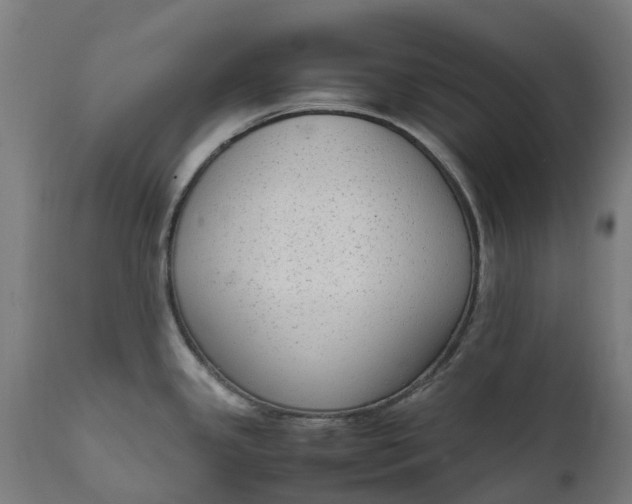 X0000111651341200907311308