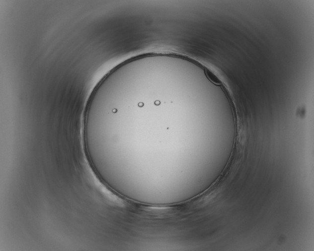 X0000111651343200907311308