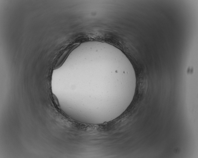 X0000111651345200907311307