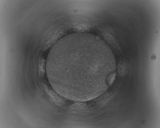 X0000111651346200907311307