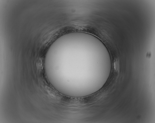 X0000111651347200907311307