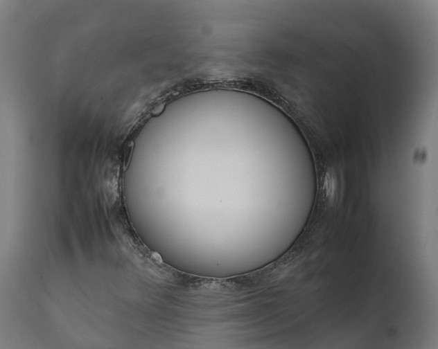 X0000111651348200907311307