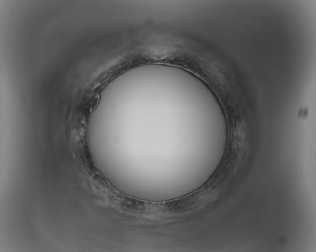 X0000111651349200907311307