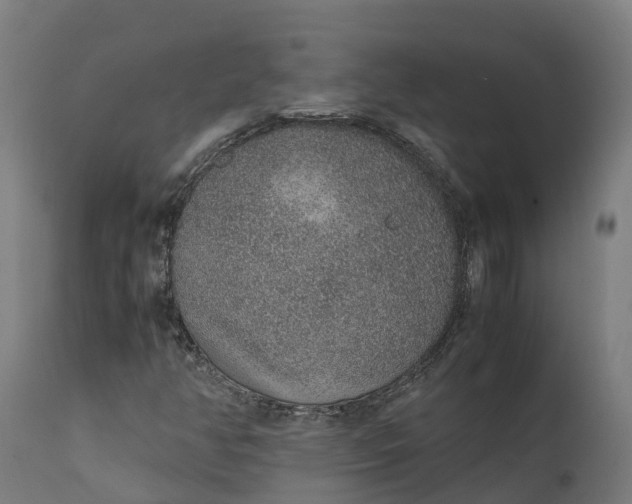 X0000111651350200907311307