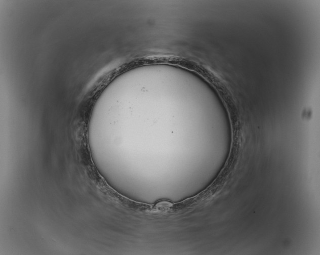 X0000111651351200907311307