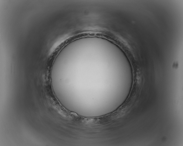 X0000111651352200907311307