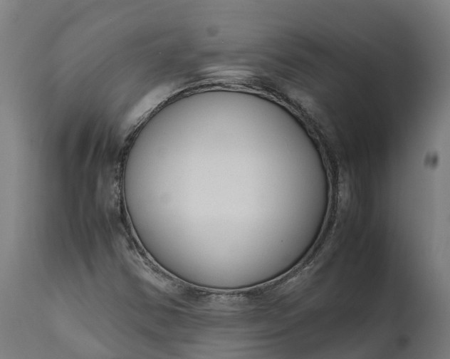X0000111651354200907311307