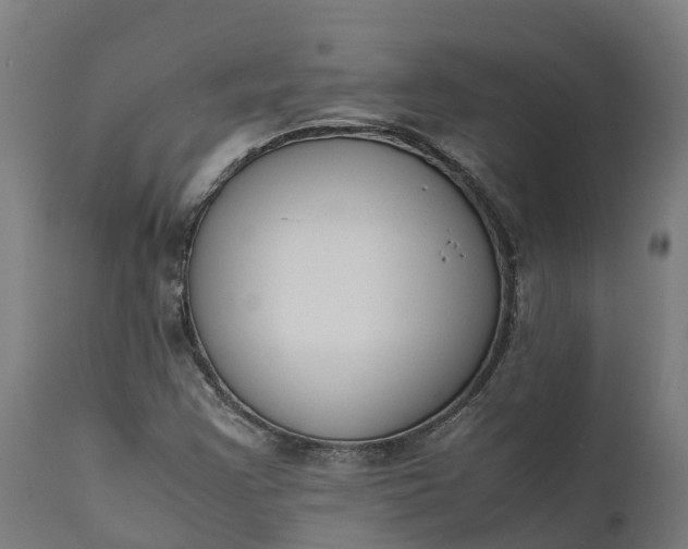 X0000111651355200907311307
