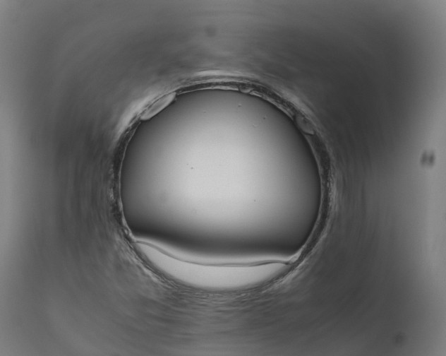X0000111651357200907311307
