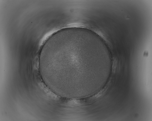 X0000111651358200907311307