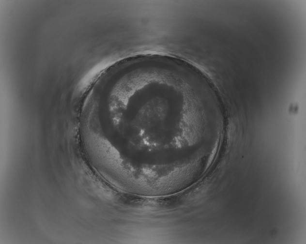 X0000111651359200907311307
