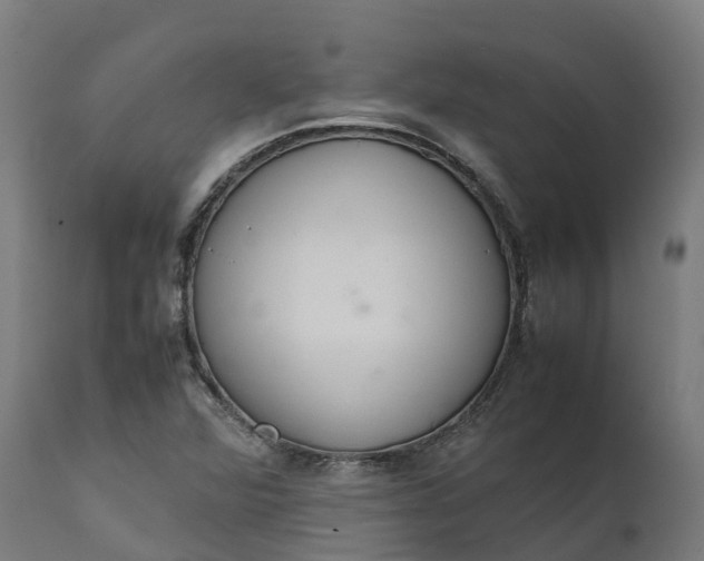 X0000111651360200907311307