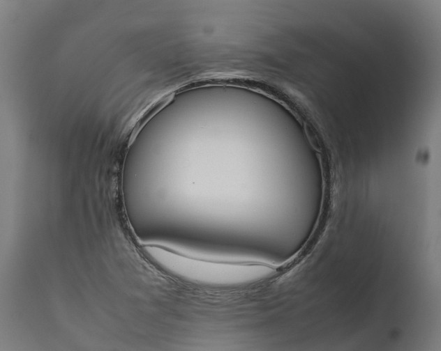 X0000111651361200907311307