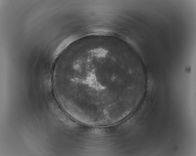 X0000111651362200907311307