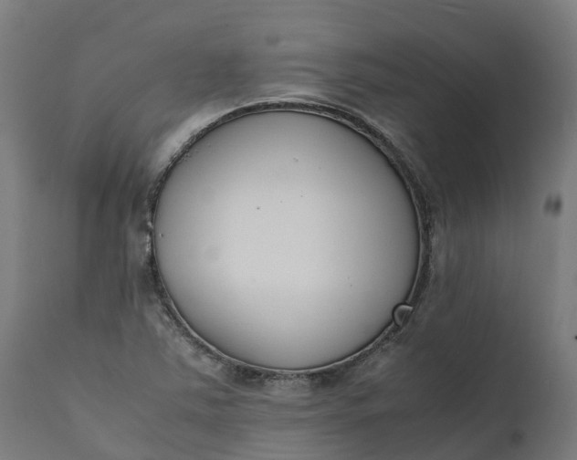 X0000111651363200907311307