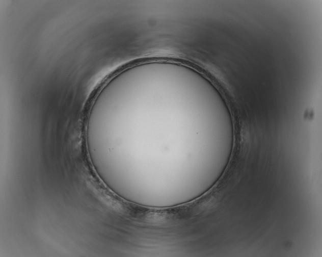 X0000111651364200907311306
